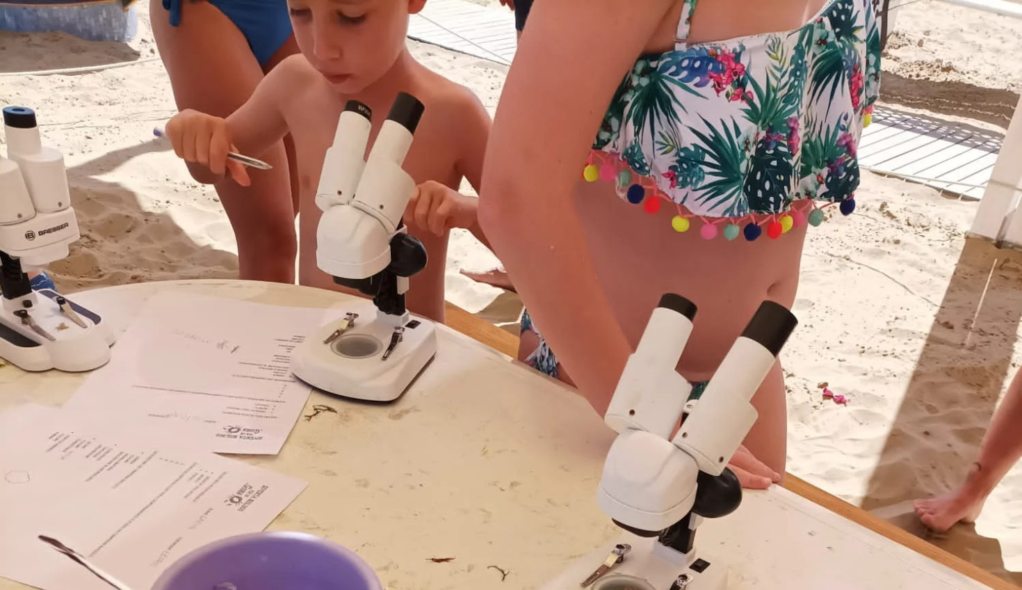 media.biologo-per-un-giorno-souvenir